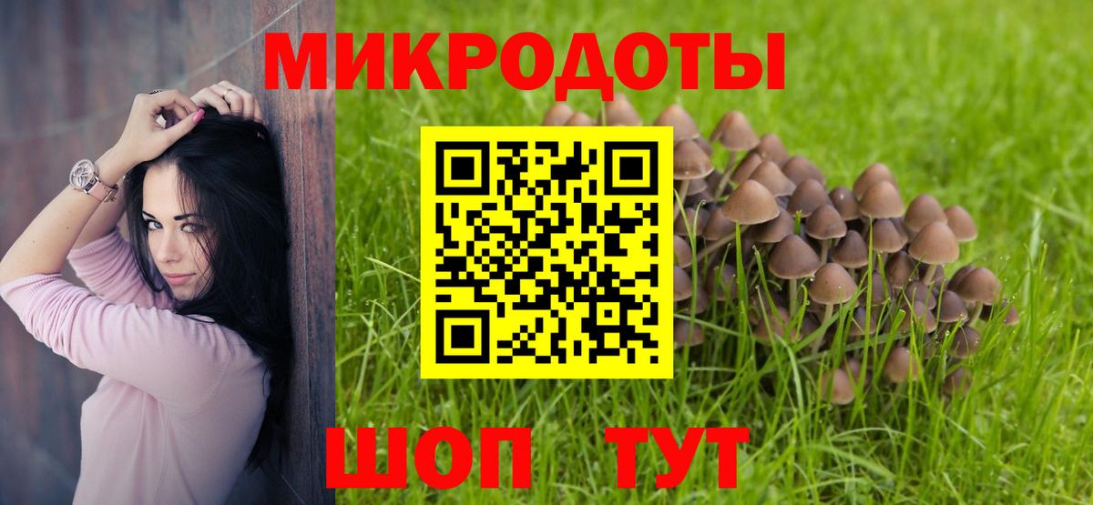 Кызыл  Галлюциногенные грибы мицелий  Псилоцибиновые грибы Psilocybe  Вход с VPN 